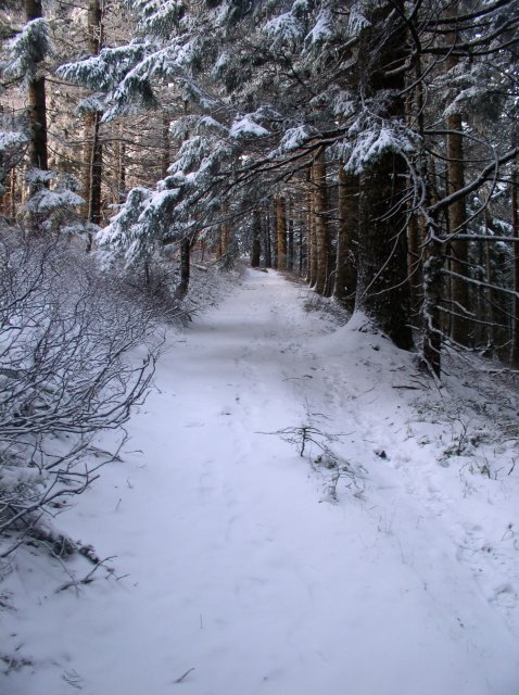 11.27.05 Nesmith Point 083 